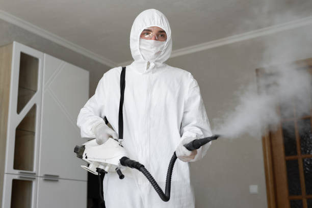 Best Residential Mold Inspection & Testing  in Miami Springs, FL